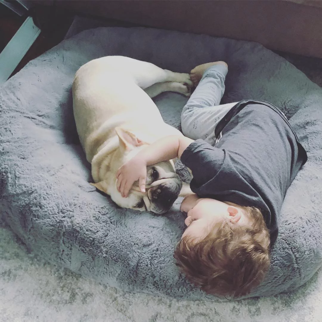 baby and dog
