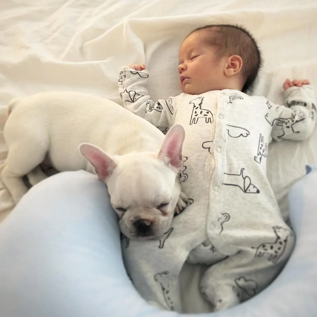 baby and dog
