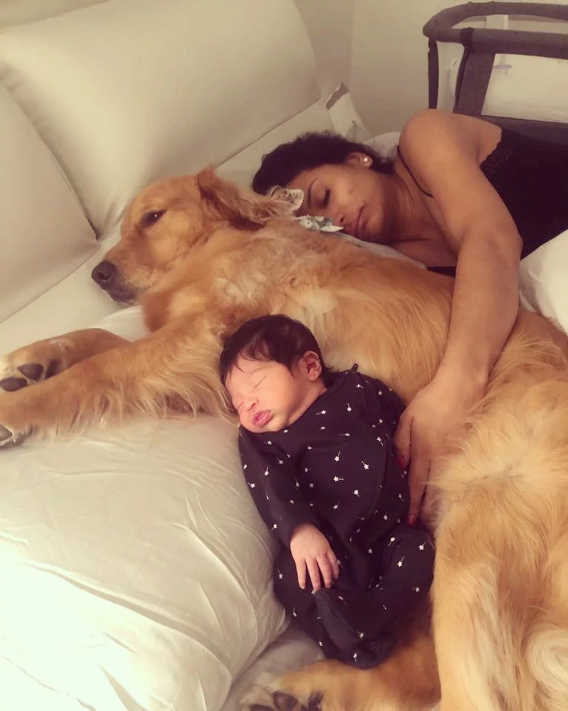baby and dog