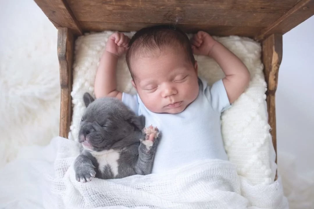 baby and dog