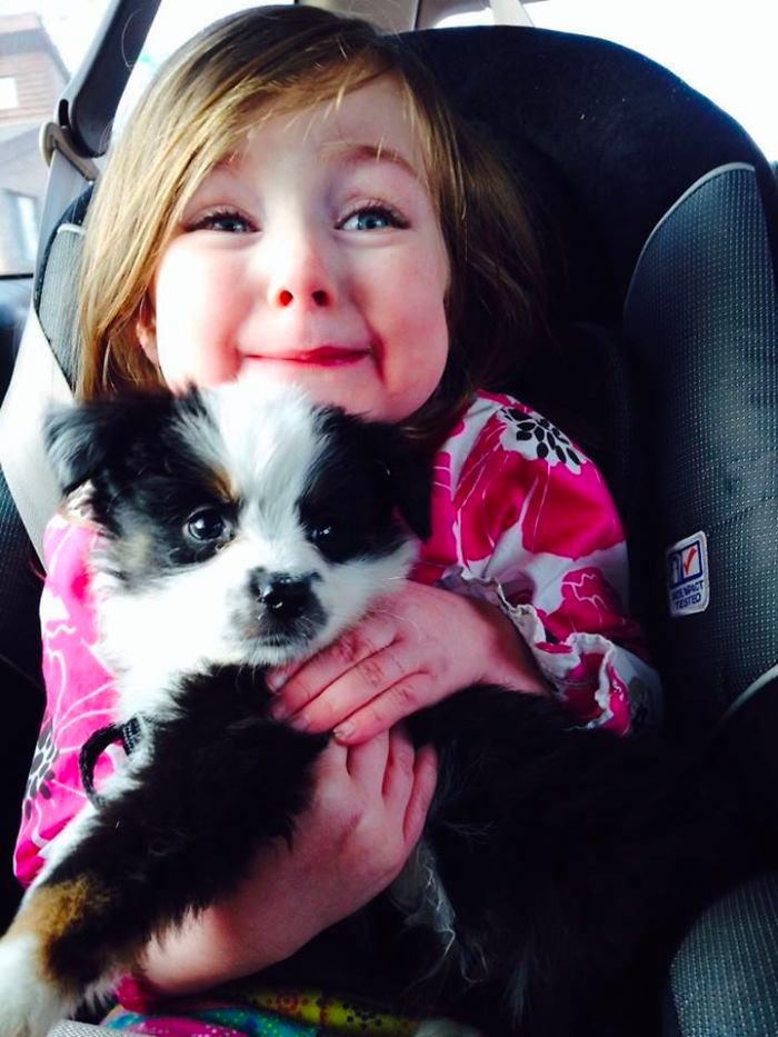 cute dog
