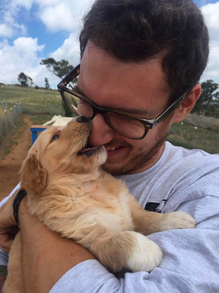 cute dog